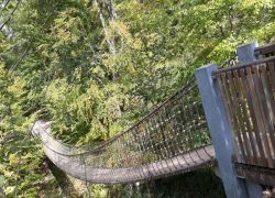 Guldental_16 Guldental_16