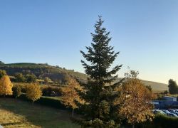 Guldental_6 Guldental_6