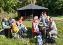 Guldental_8 Guldental_8