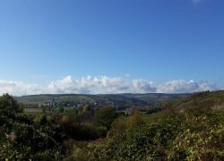 Guldental_9 Guldental_9