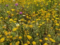 Weltkulturerbe_4 Weltkulturerbe_4