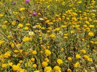 Weltkulturerbe_9 Weltkulturerbe_9