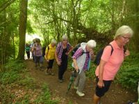 Wandern-22.05.2018_008 Wandern-22.05.2018_008