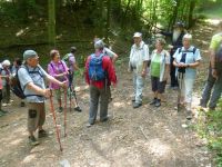 Wandern-22.05.2018_013 Wandern-22.05.2018_013
