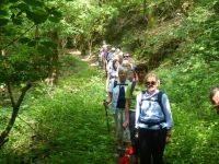 Wandern-22.05.2018_017 Wandern-22.05.2018_017