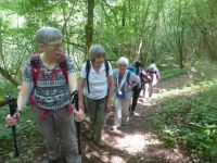 Wandern-22.05.2018_022 Wandern-22.05.2018_022