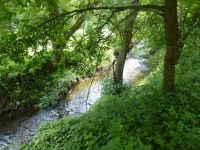 Wandern-22.05.2018_038 Wandern-22.05.2018_038